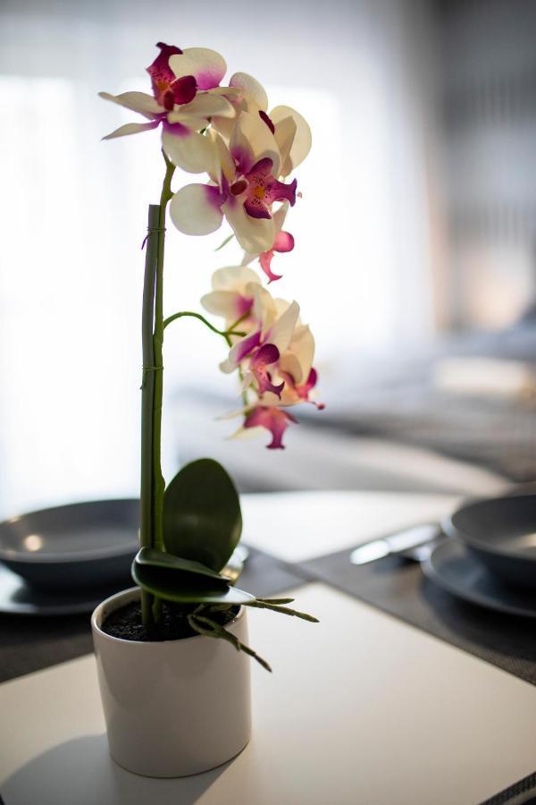 Csipke Apartman มาโค ภายนอก รูปภาพ