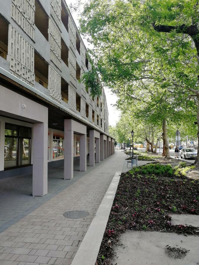 Csipke Apartman มาโค ภายนอก รูปภาพ